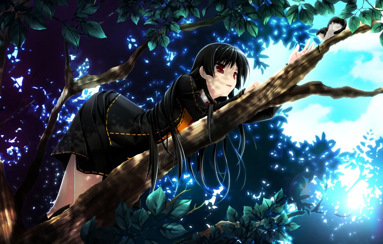 Photo wallpaper cat, girl, trees, branches, foliage, game, kitty, shinigami no testamen