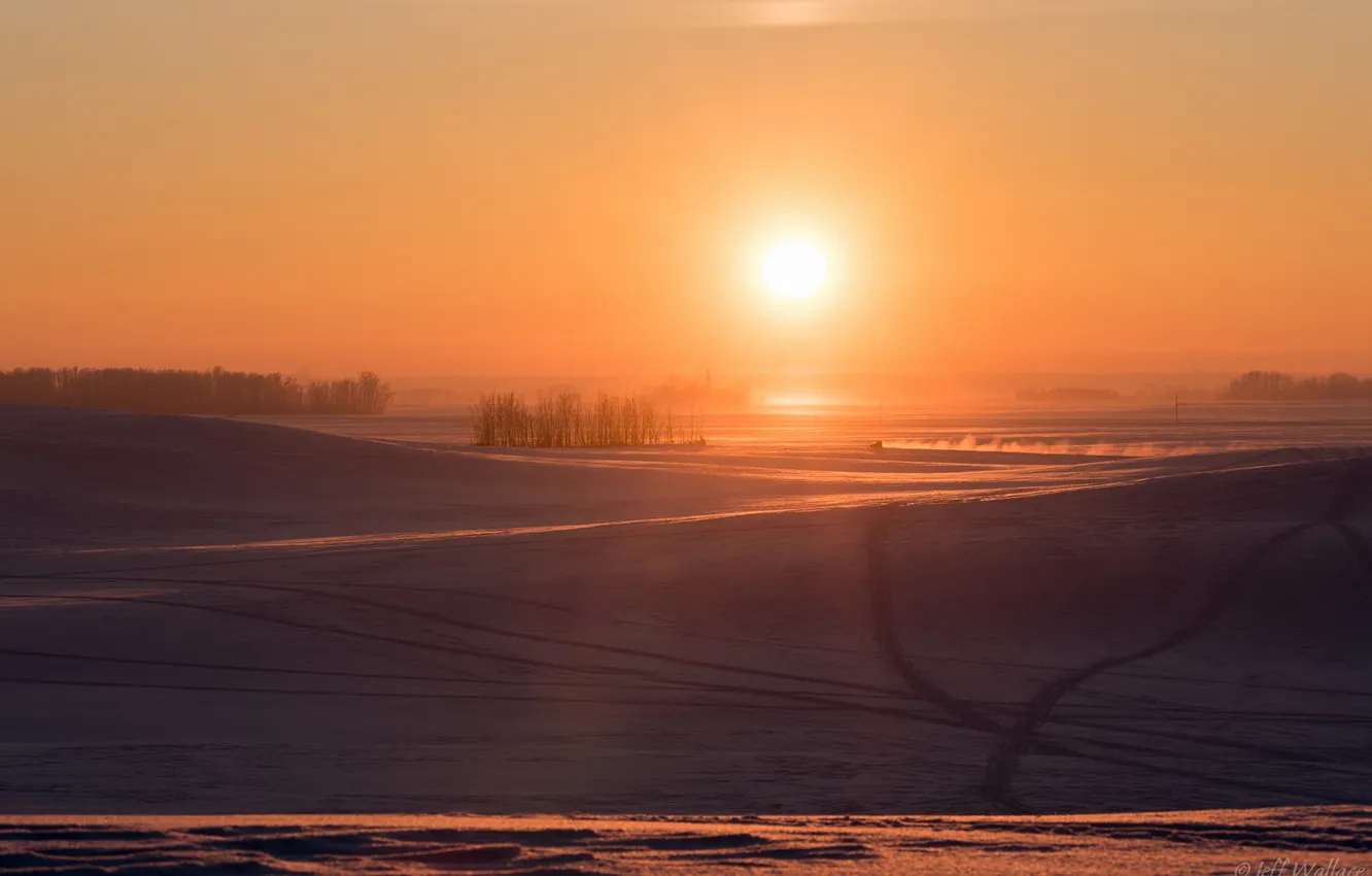 Photo wallpaper field, nature, fog, morning