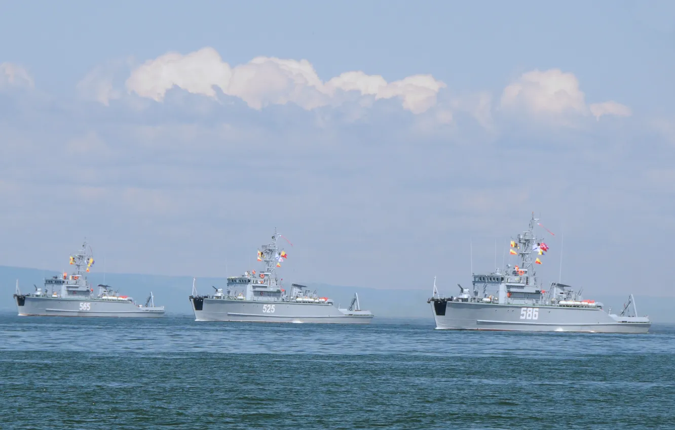 Photo wallpaper exercises, project 1265, base minesweepers