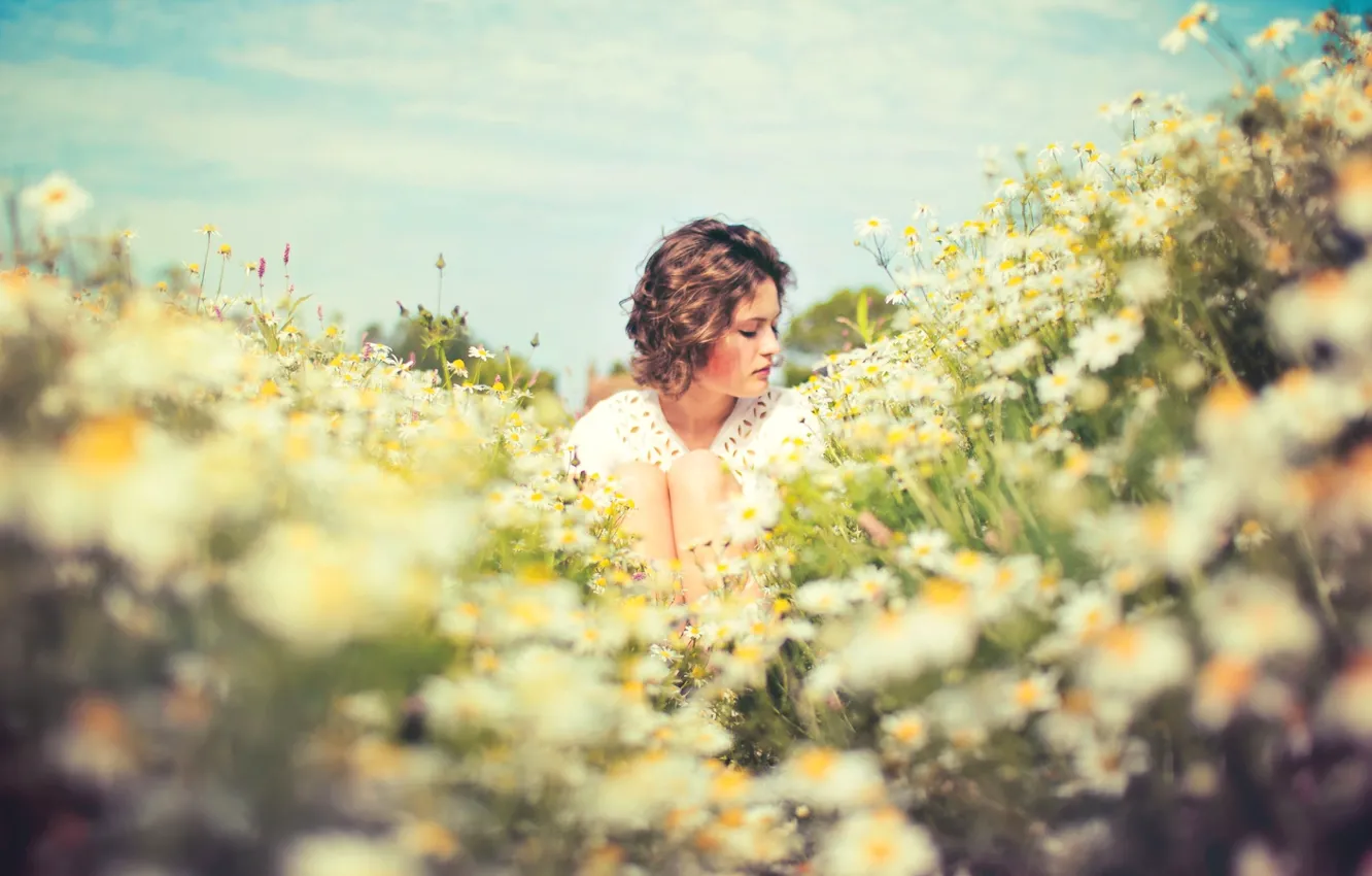 Photo wallpaper field, summer, girl, the sun, mood, chamomile