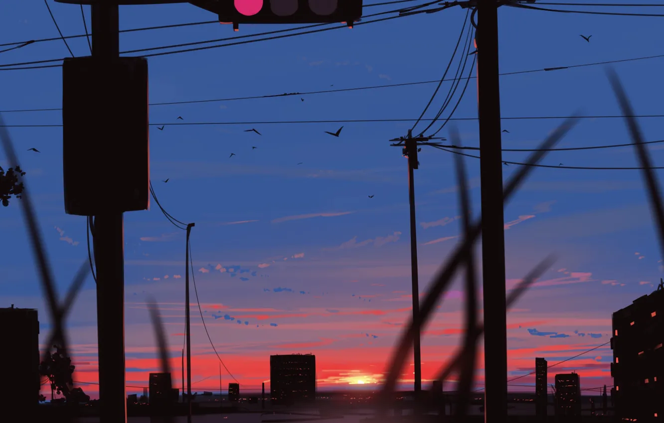 Photo wallpaper sunset, birds, the city