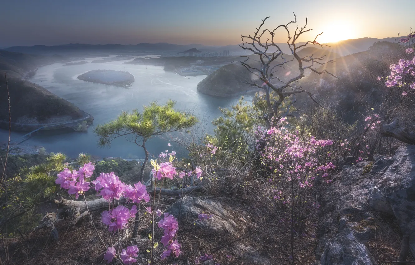 Photo wallpaper trees, pond, height, mountains, rocks, rhododendrons