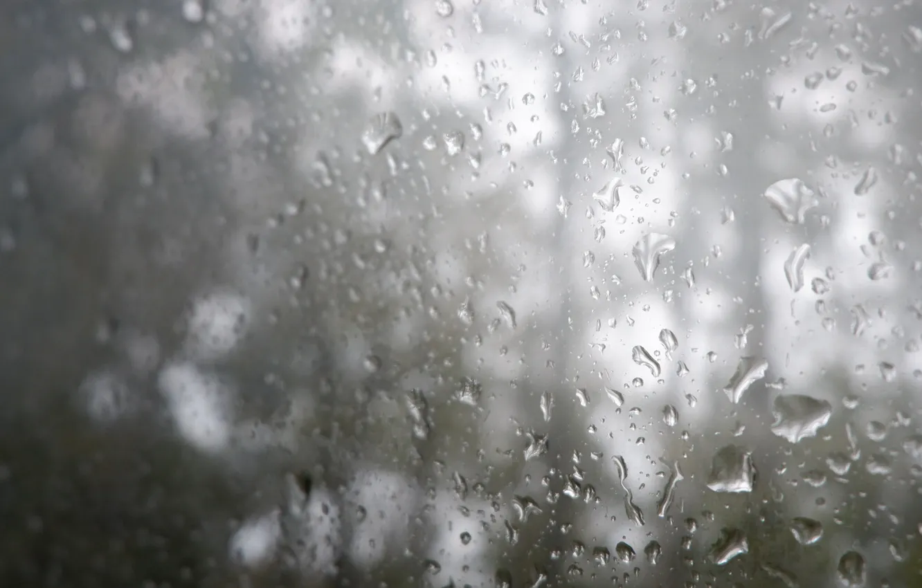 Photo wallpaper wet, glass, drops, grey, rain