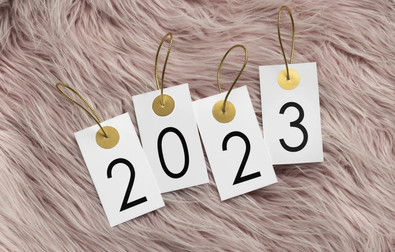 Photo wallpaper new year, figures, fur, pink, cardboard, date, tag, 2023