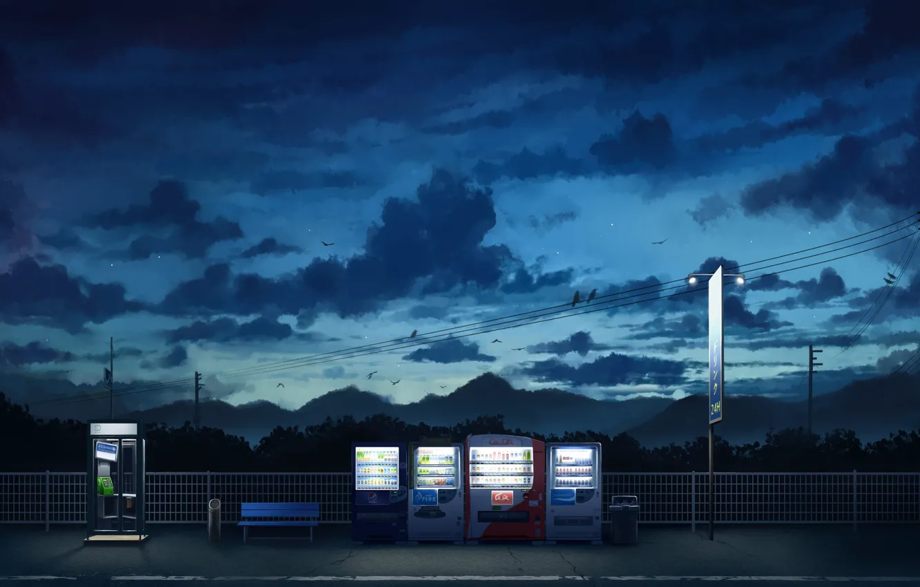 Photo wallpaper the sky, bird, shop, machine, twilight, urn