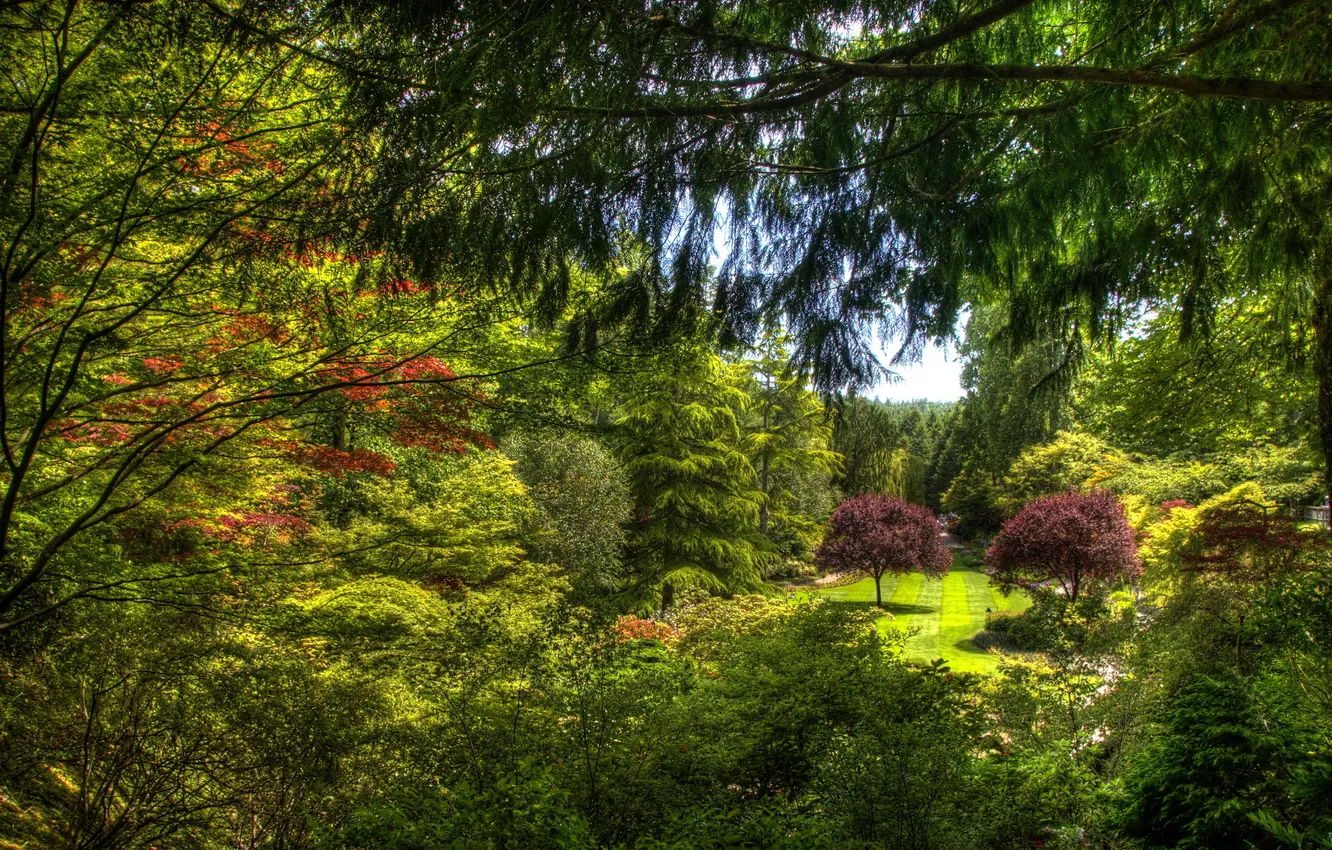 Photo wallpaper greens, trees, branches, garden, Canada, the bushes, lawn, Victoria