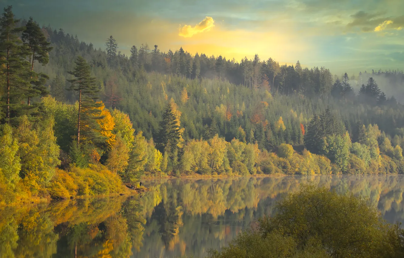Photo wallpaper forest, trees, Day, beautiful, view, lake, fall, cloudy