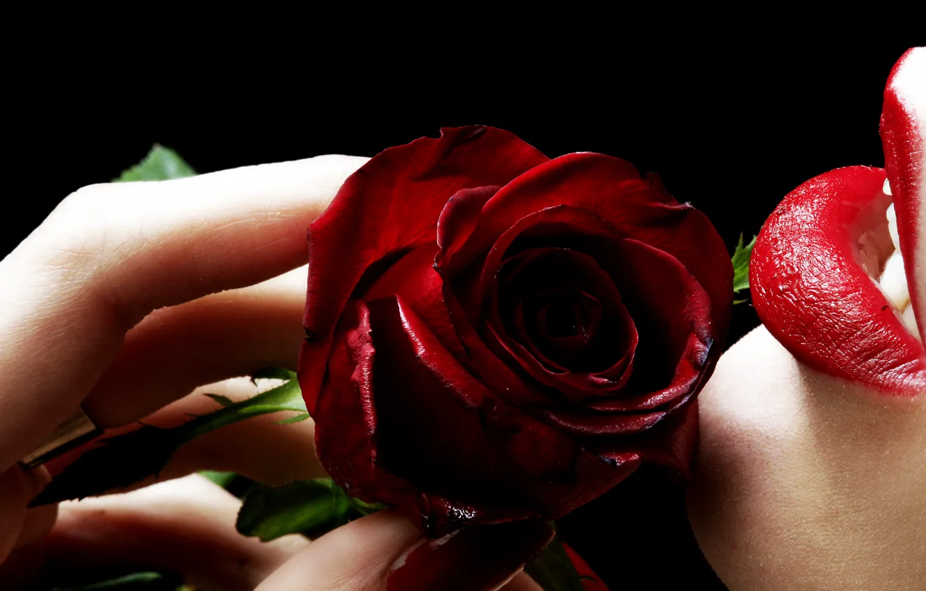 Photo wallpaper Girl, Rose, Flower, Black background, Red lipstick