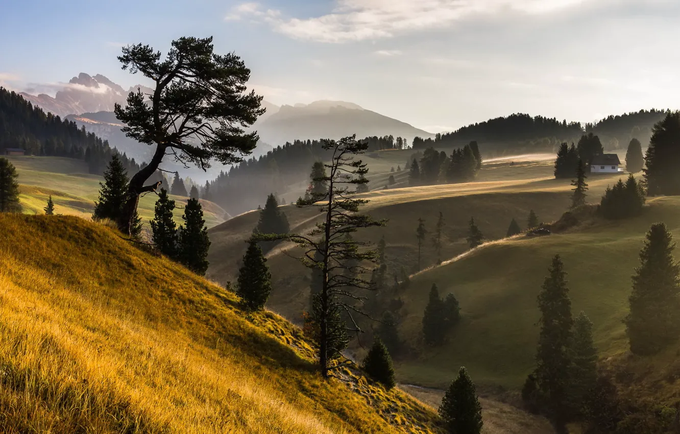 Photo wallpaper landscape, mountains, fog, home