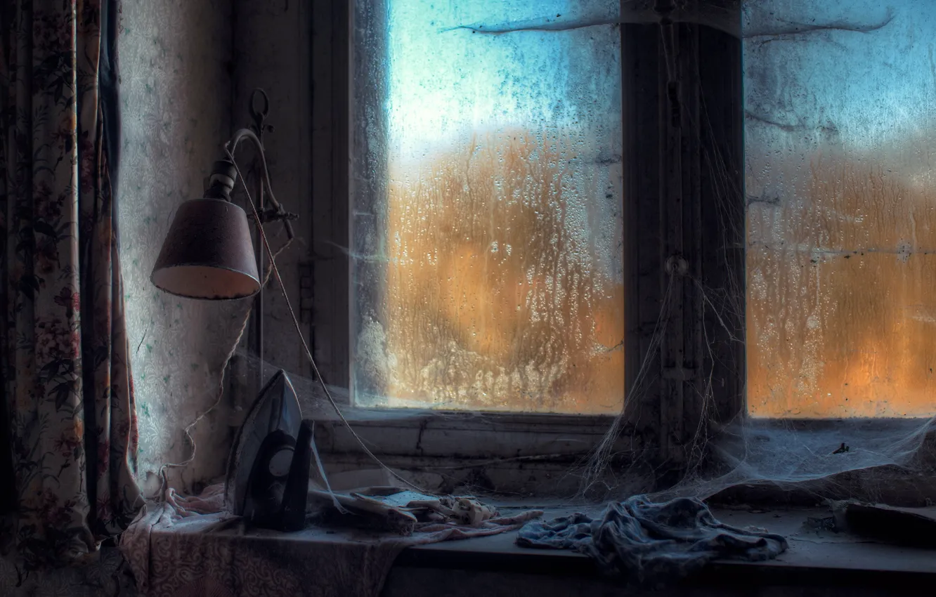 Photo wallpaper lamp, web, window, iron