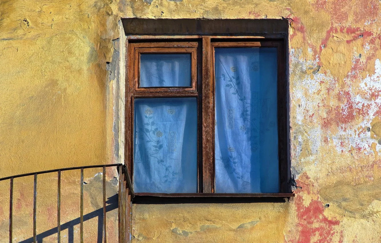 Photo wallpaper background, wall, window