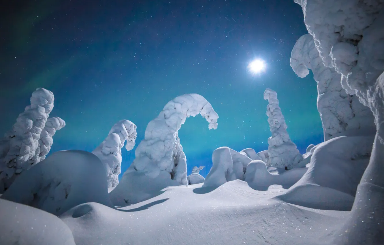 Photo wallpaper winter, snow, Finland, Lapland