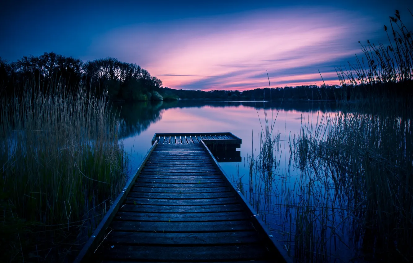 Photo wallpaper lake, dawn, England, morning, the bridge, Wiltshire