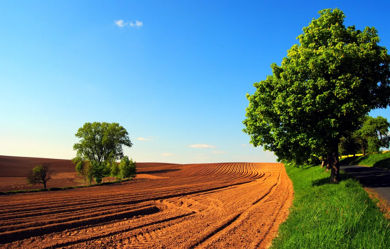 Photo wallpaper road, field, the sky, trees, nature, spring