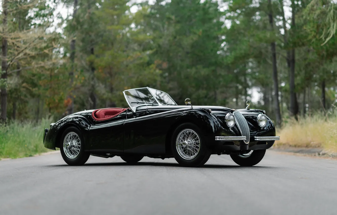 Photo wallpaper Jaguar, 1954, XK120, Jaguar XK120 Roadster