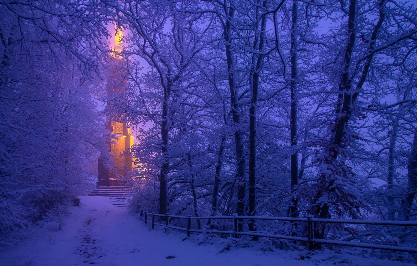 Photo wallpaper winter, snow, trees, Germany, Germany, Trier, Trier, St Mary's Column