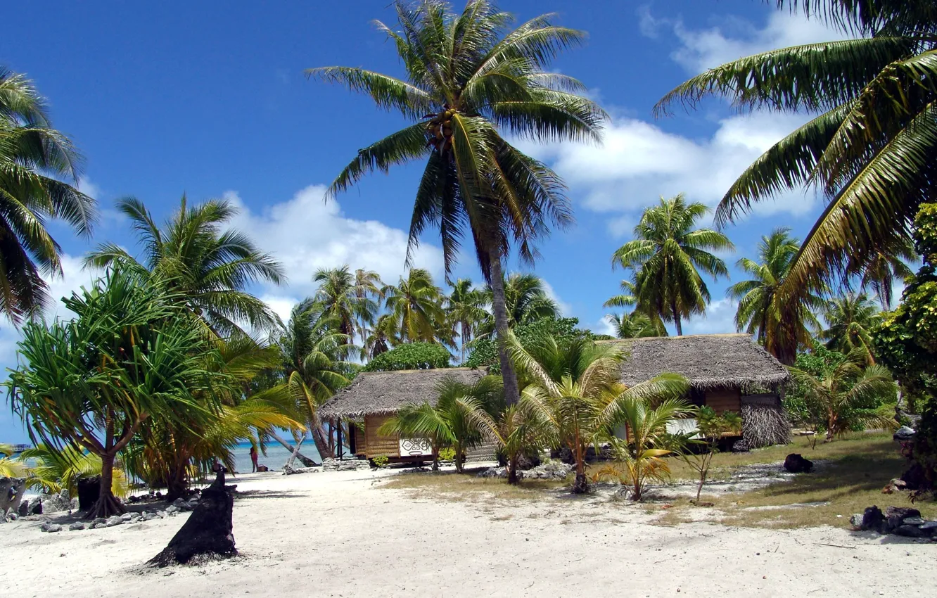 Photo wallpaper beach, palm trees, French Polynesia