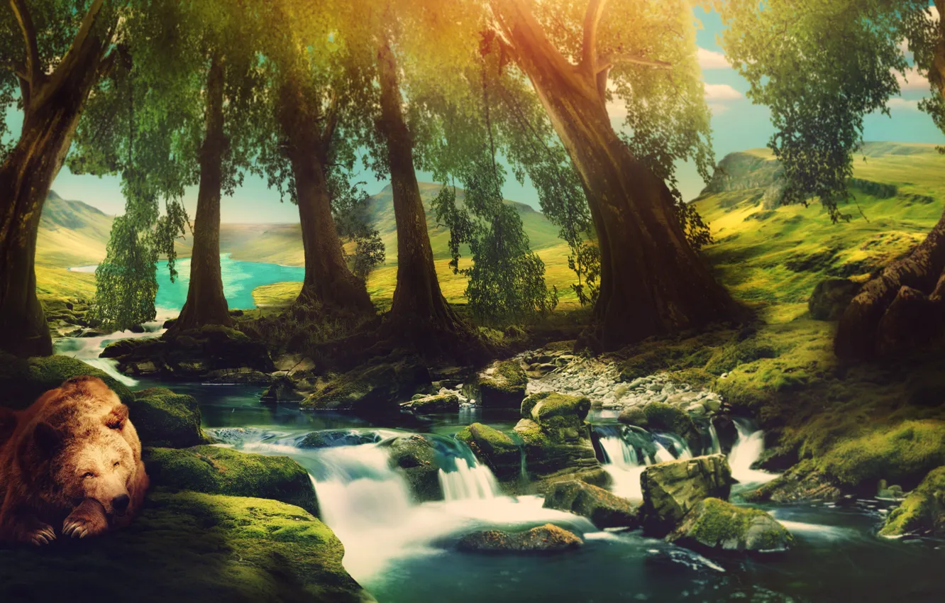 Photo wallpaper greens, forest, summer, water, light, trees, landscape, mountains