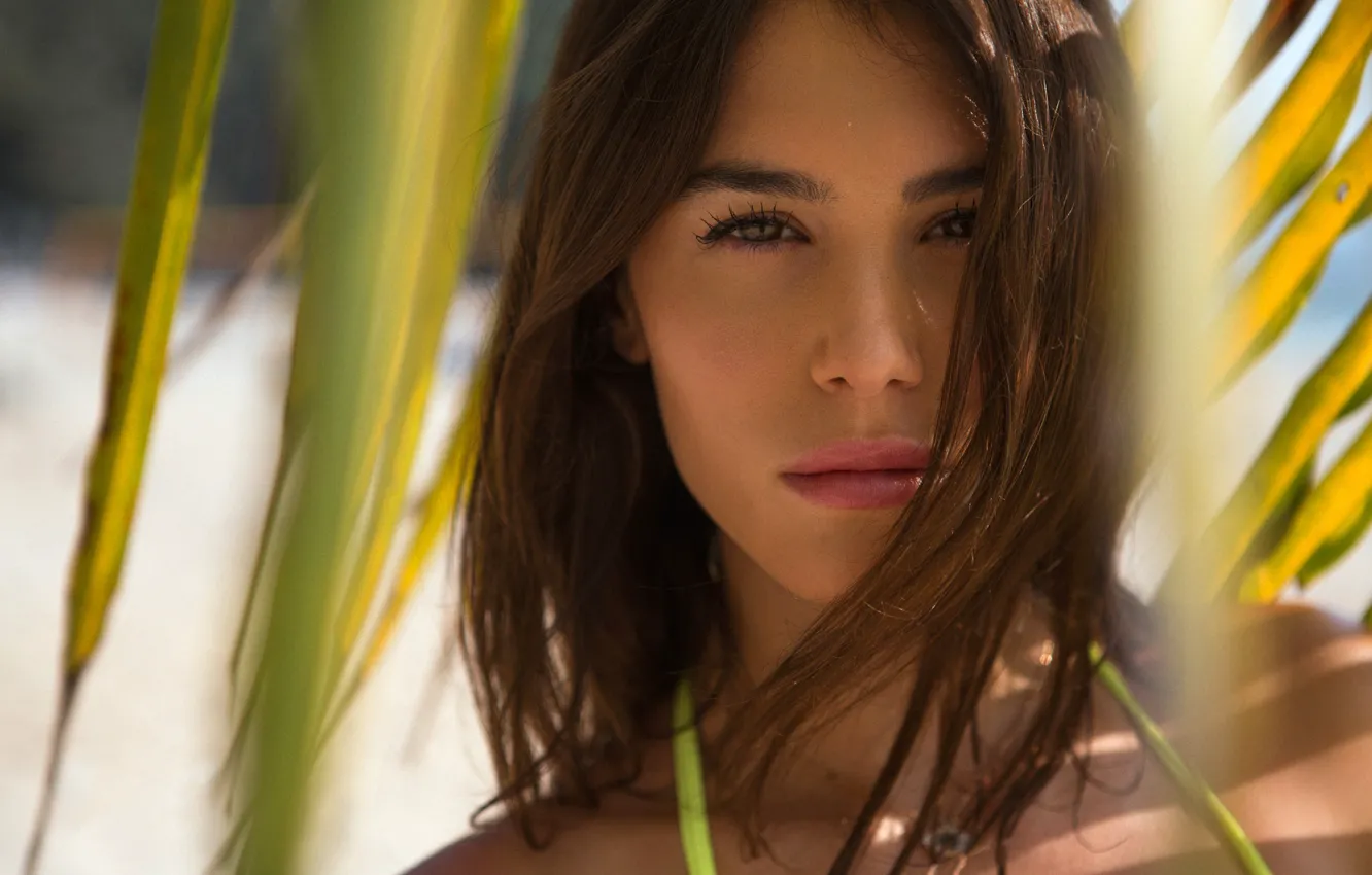 Photo wallpaper look, leaves, the sun, close-up, model, portrait, makeup, hairstyle