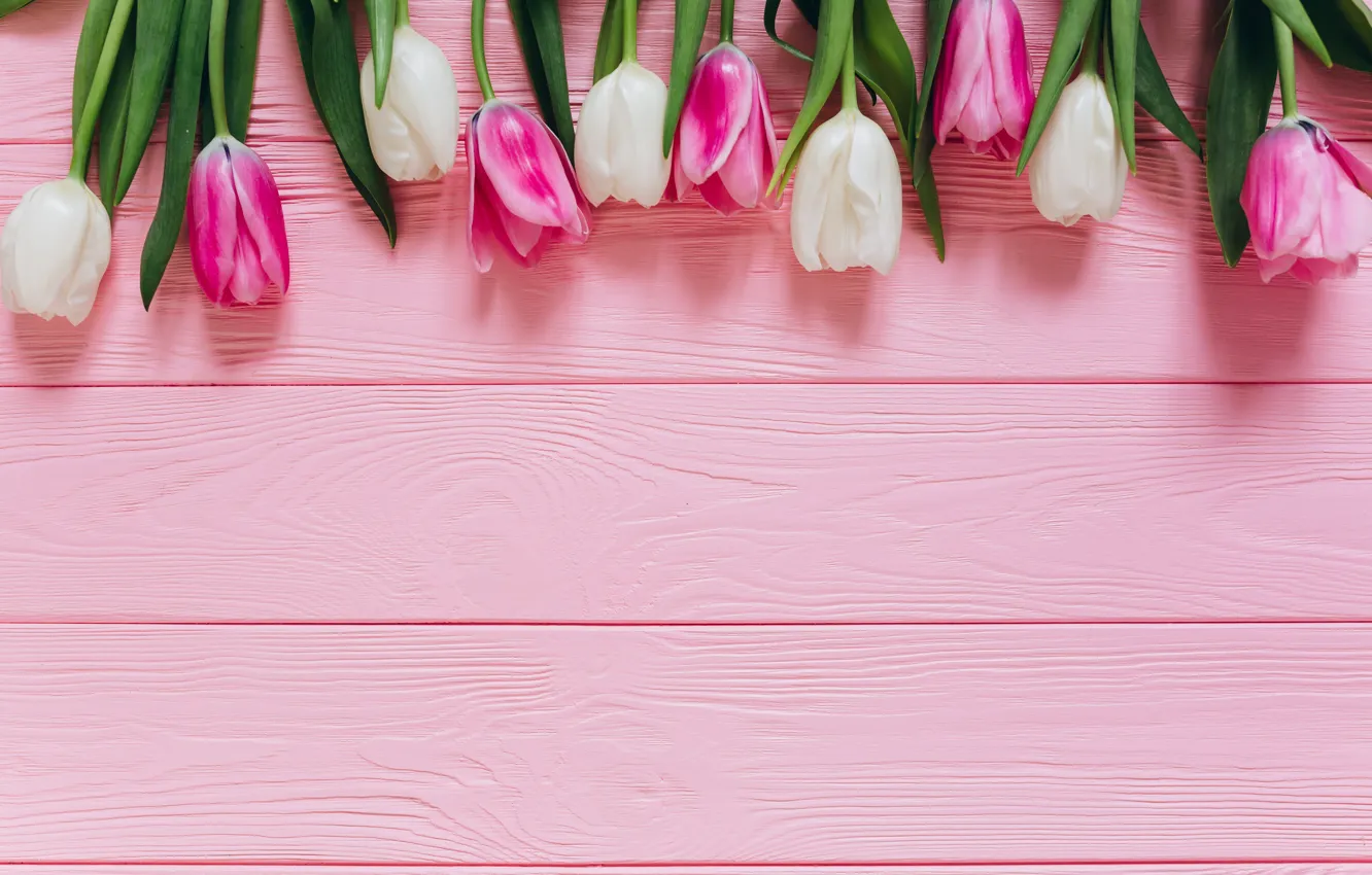 Photo wallpaper Flowers, Tulips, Background, Buds