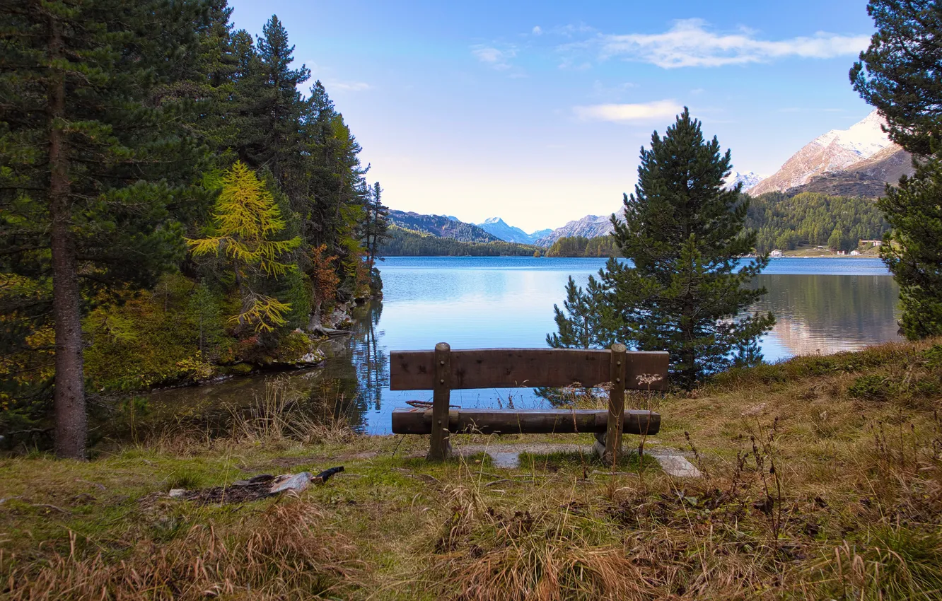 Photo wallpaper autumn, forest, the sky, grass, clouds, trees, mountains, bench
