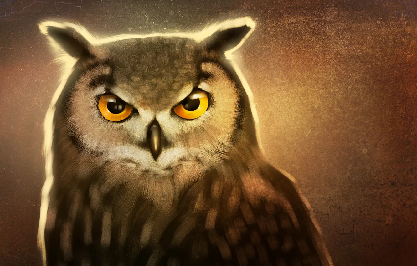 Photo wallpaper eyes, look, beak, art, owl bird