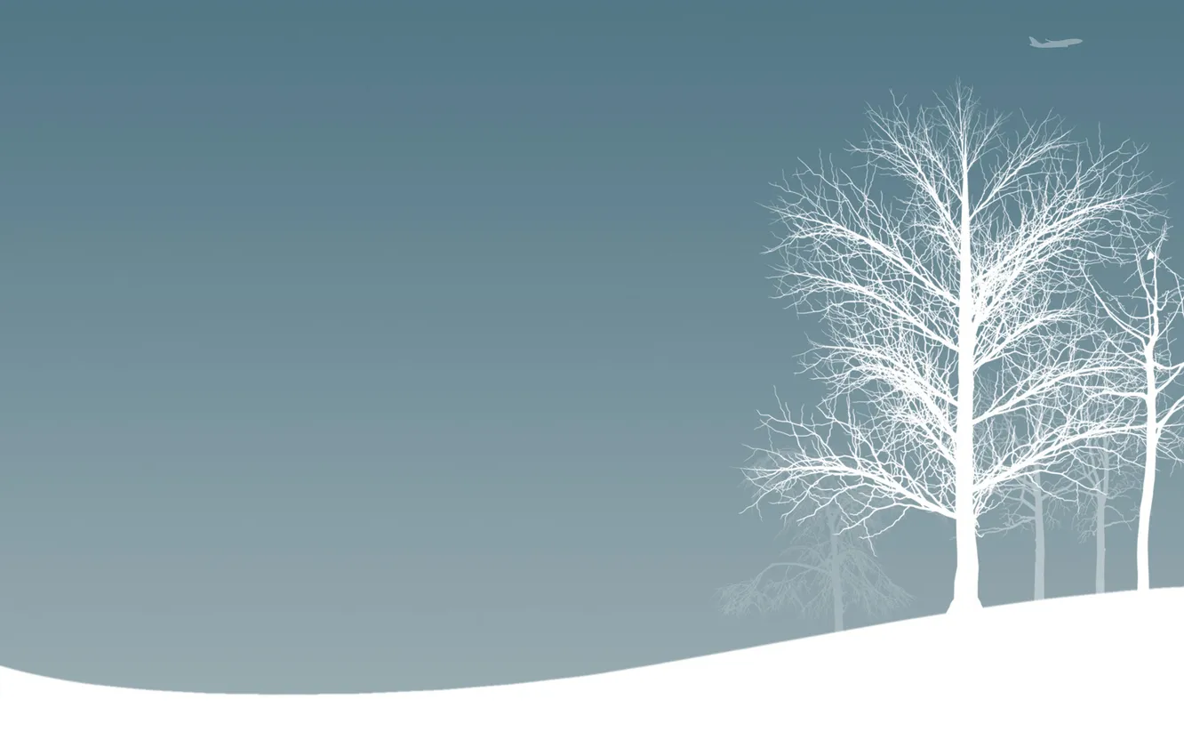 Photo wallpaper winter, snow, trees, aviation, mood, the plane, winter Wallpaper