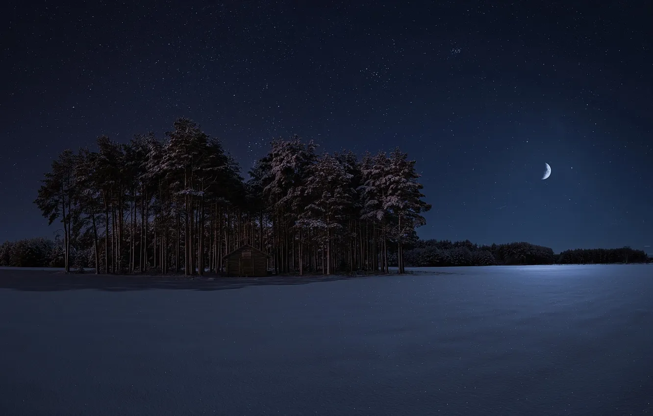 Photo wallpaper winter, trees, night