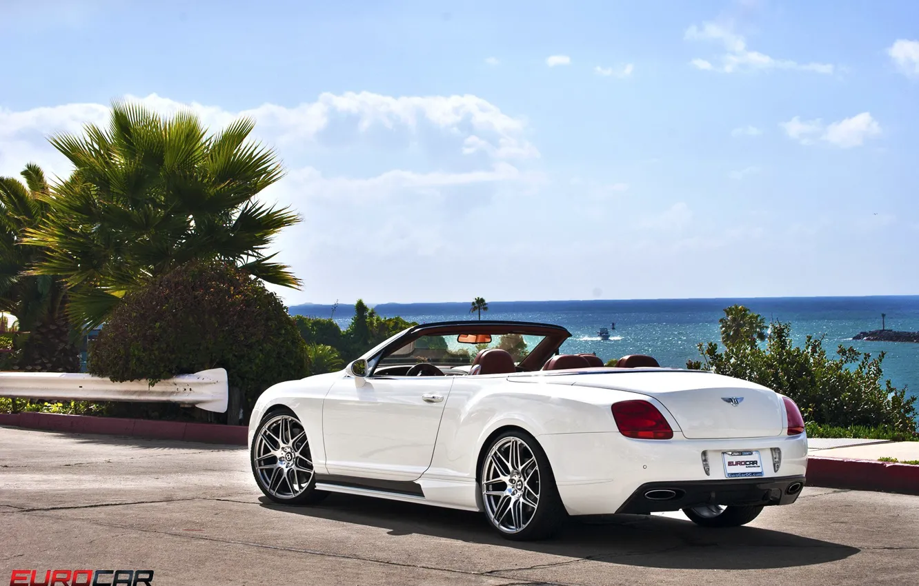 Photo wallpaper white, white, Bentley Continental GTC