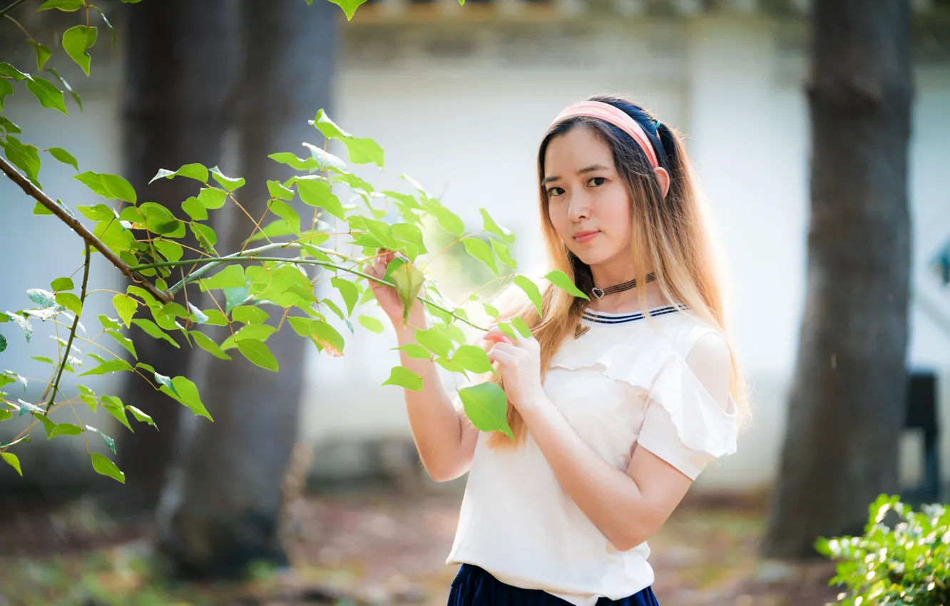 Photo wallpaper look, leaves, girl, branch, Asian