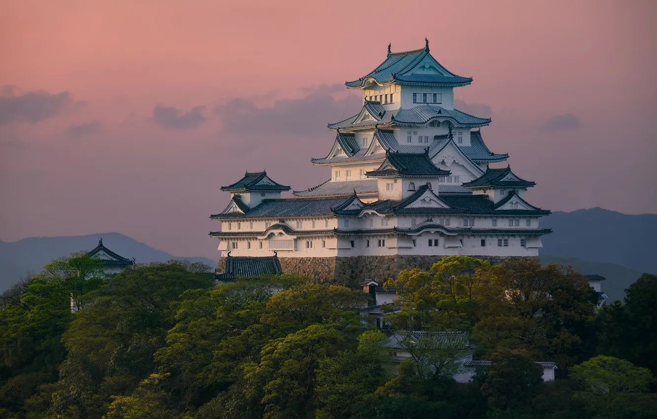 Photo wallpaper the sky, clouds, trees, the evening, Japan, Palace