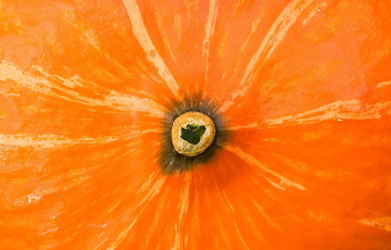 Photo wallpaper Ass, Orange, Pumpkin
