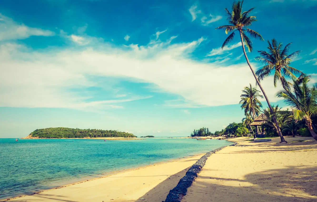 Photo wallpaper sand, sea, beach, summer, the sky, palm trees, summer, beach