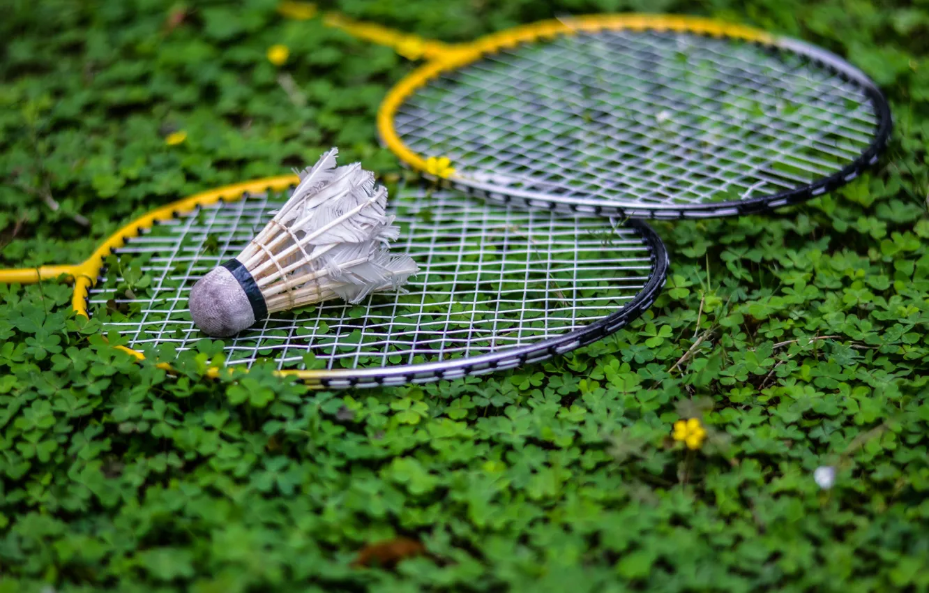 Photo wallpaper greens, grass, the game, racket, badminton, birdies
