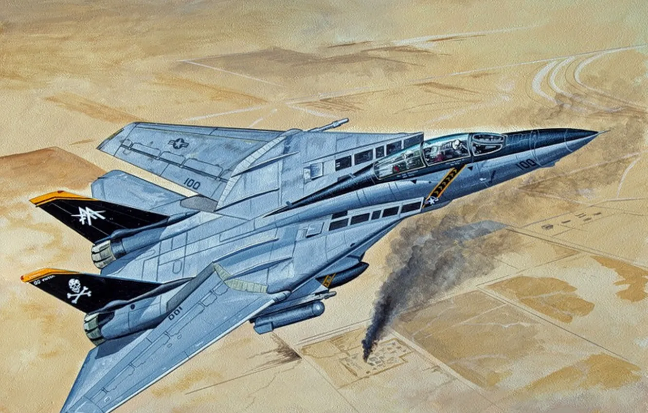Photo wallpaper The plane, USA, Art, Iraq, UNITED STATES AIR FORCE, Tomcat, Multi-role fighter, F-14B