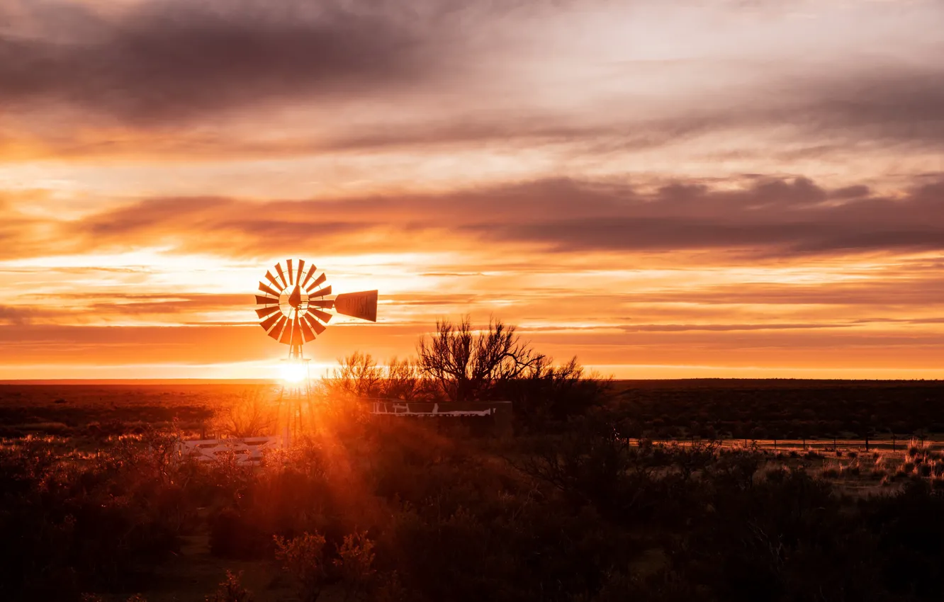 Photo wallpaper sunset, nature, windmills