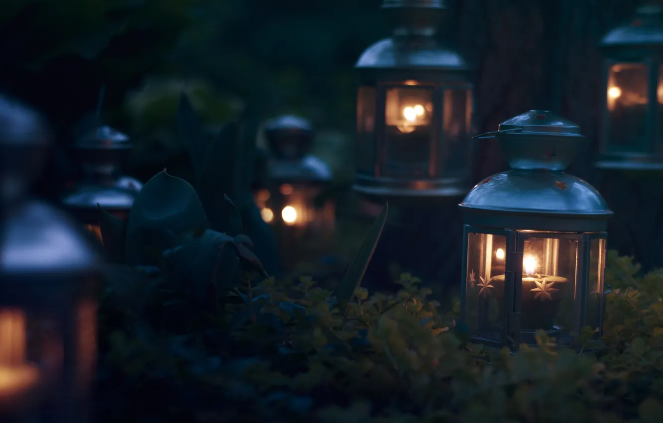 Photo wallpaper candles, plants, lamps, darkness, lantern