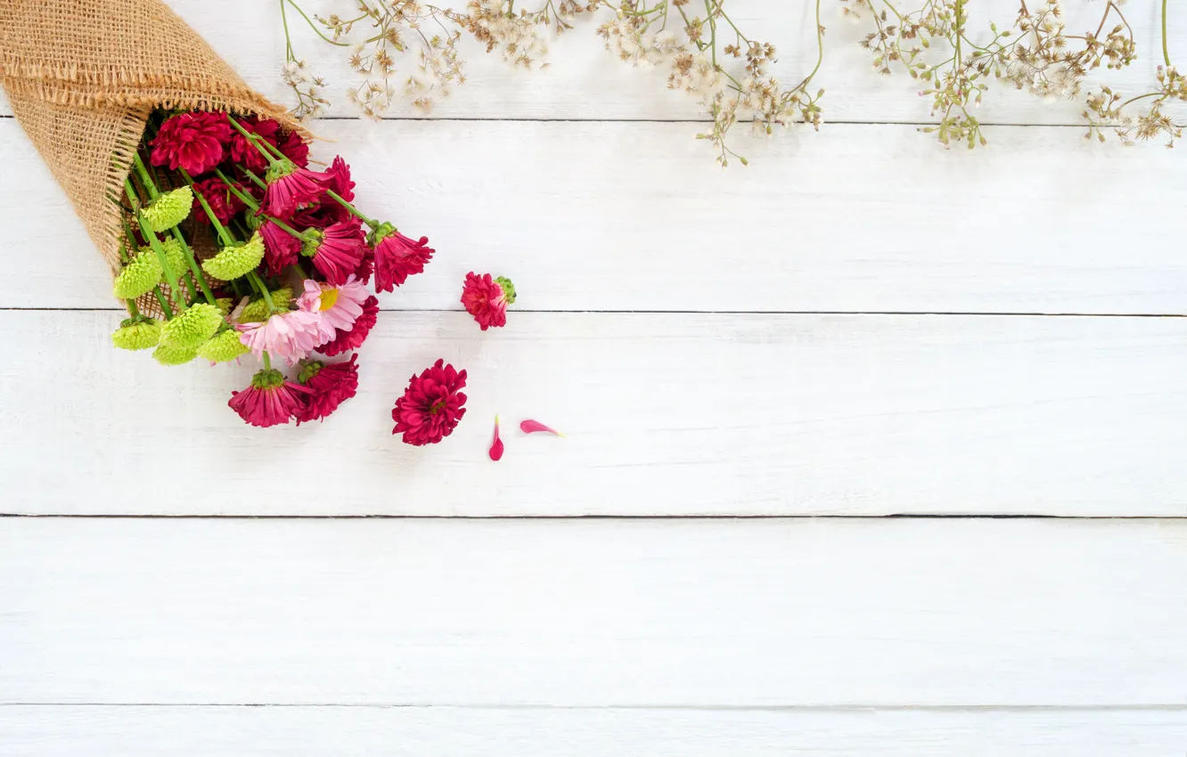Photo wallpaper flowers, fresh, chrysanthemum, wood, flowers, beautiful, spring