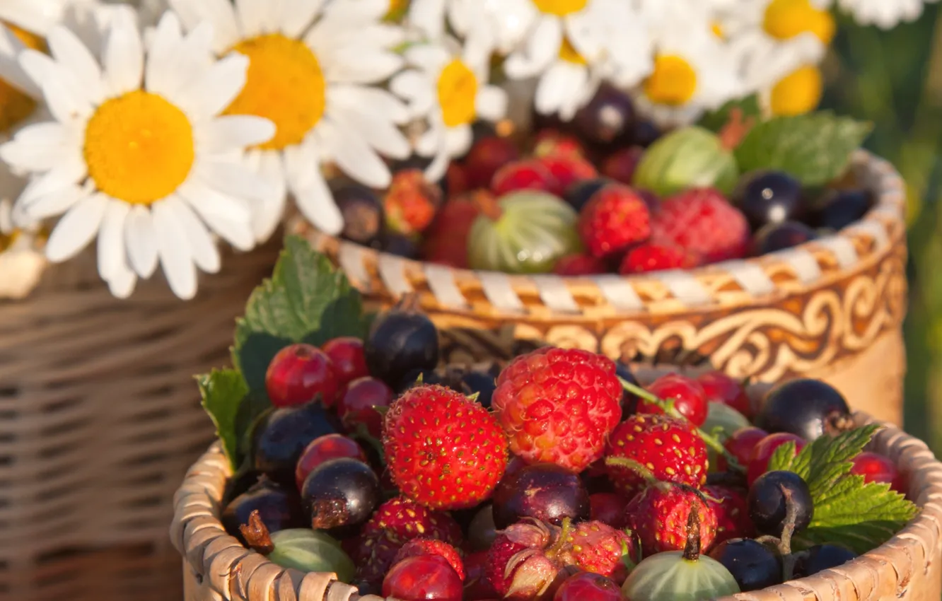 Photo wallpaper summer, berries, raspberry, chamomile, strawberries, gooseberry, black currant