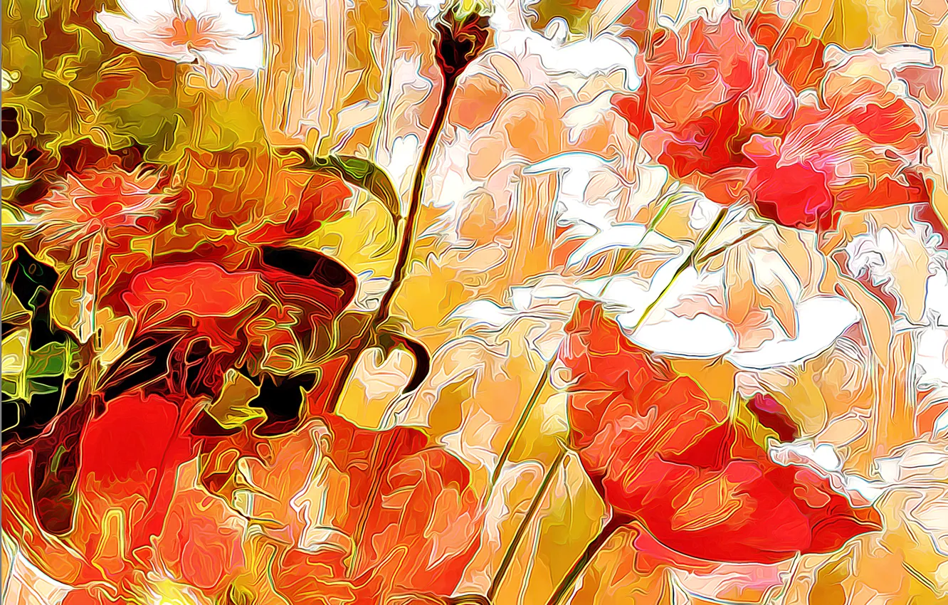 Photo wallpaper field, flowers, nature, petals, meadow