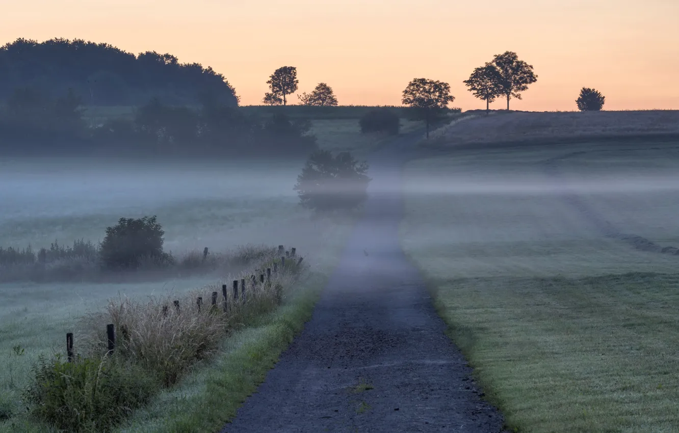 Photo wallpaper road, field, fog