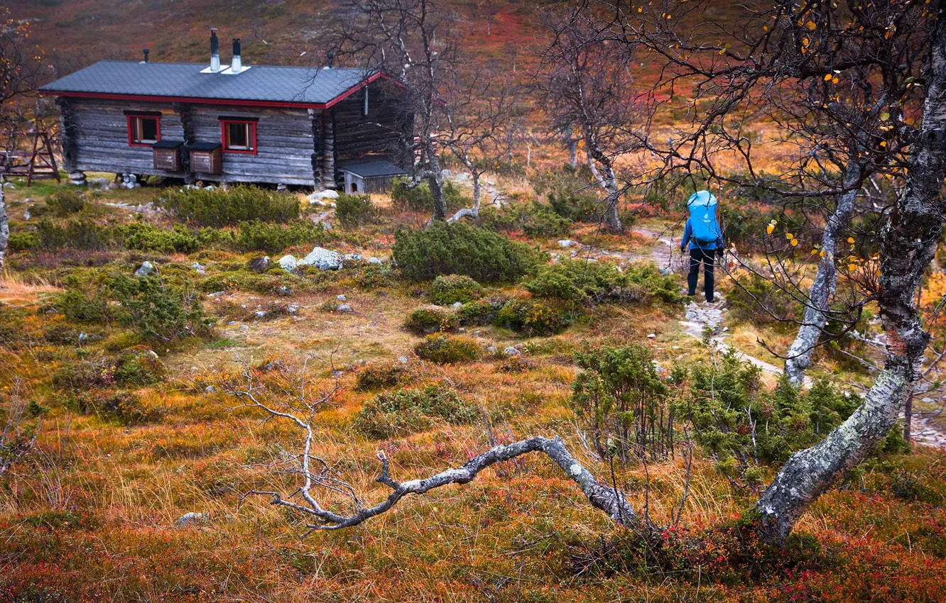 Photo wallpaper grass, trees, nature, stones, house, backpack, the bushes, bokeh
