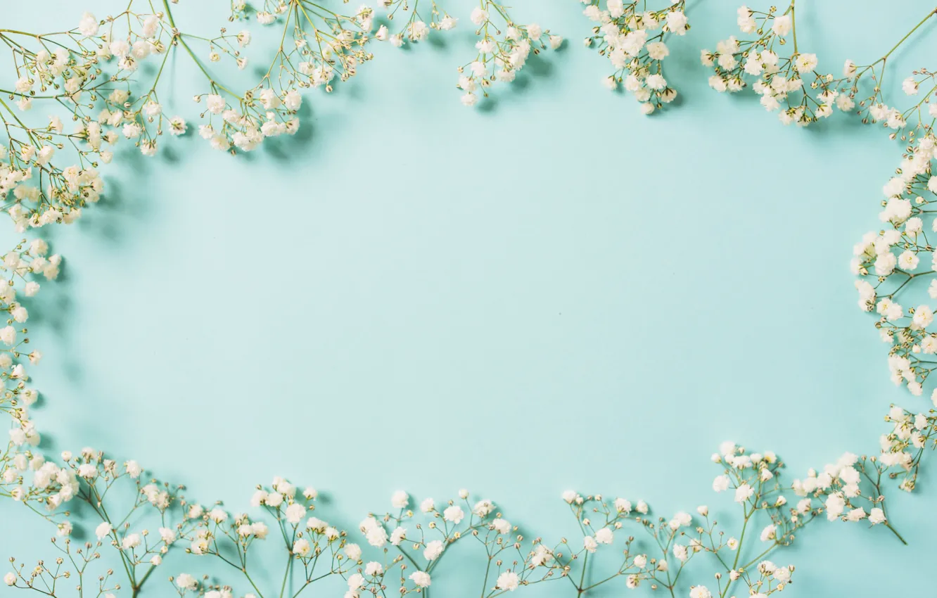 Photo wallpaper flowers, background, frame, white, white, flowers, spring, frame