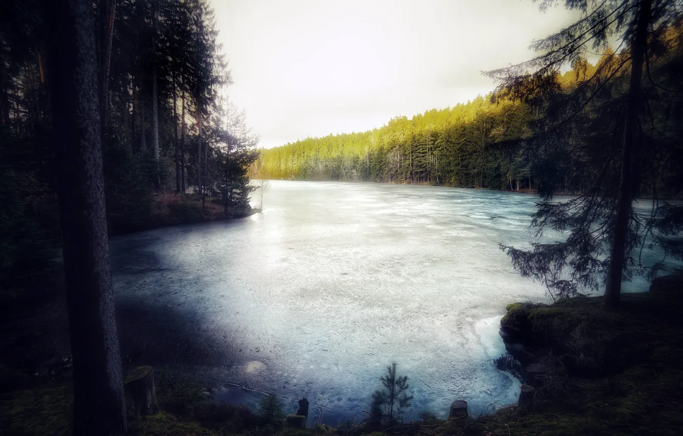 Photo wallpaper forest, nature, river