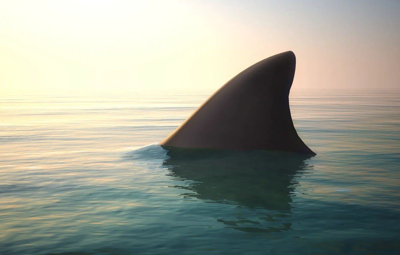 Photo wallpaper ocean, water, shark fin