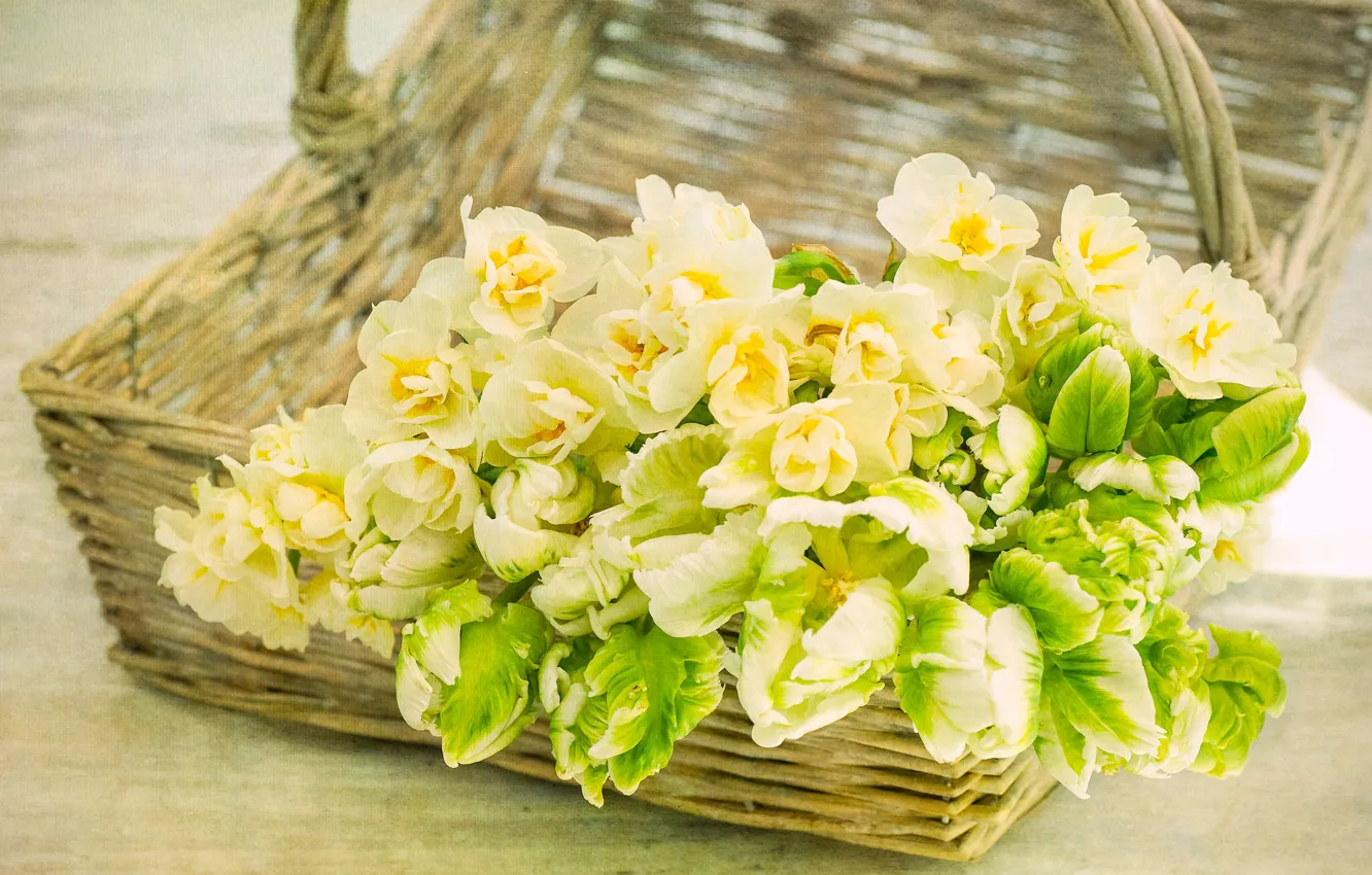 Photo wallpaper texture, tulips, basket, daffodils