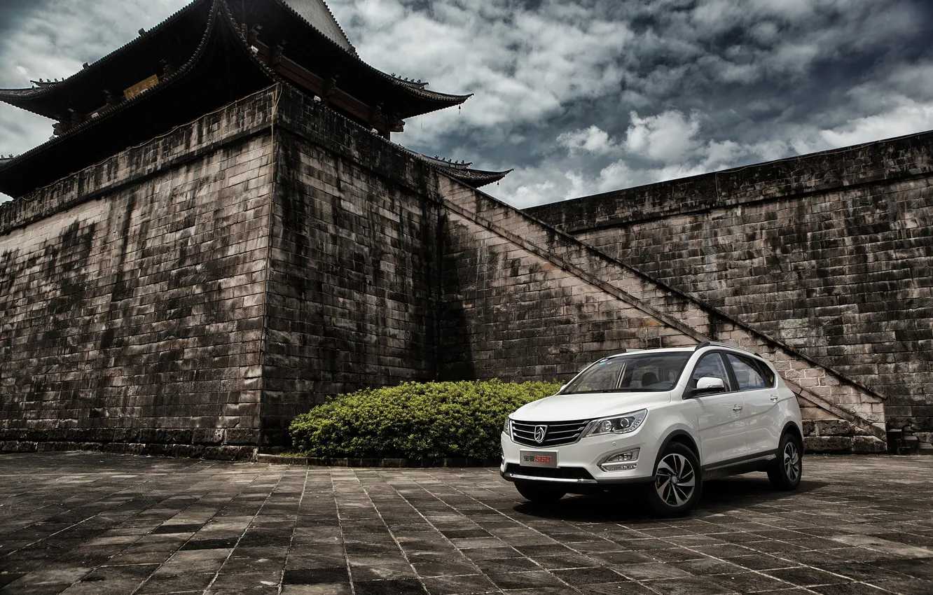 Photo wallpaper 560, wall, 2015, baojin, Baojun