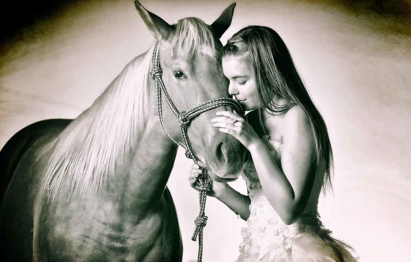 Photo wallpaper girl, mood, horse