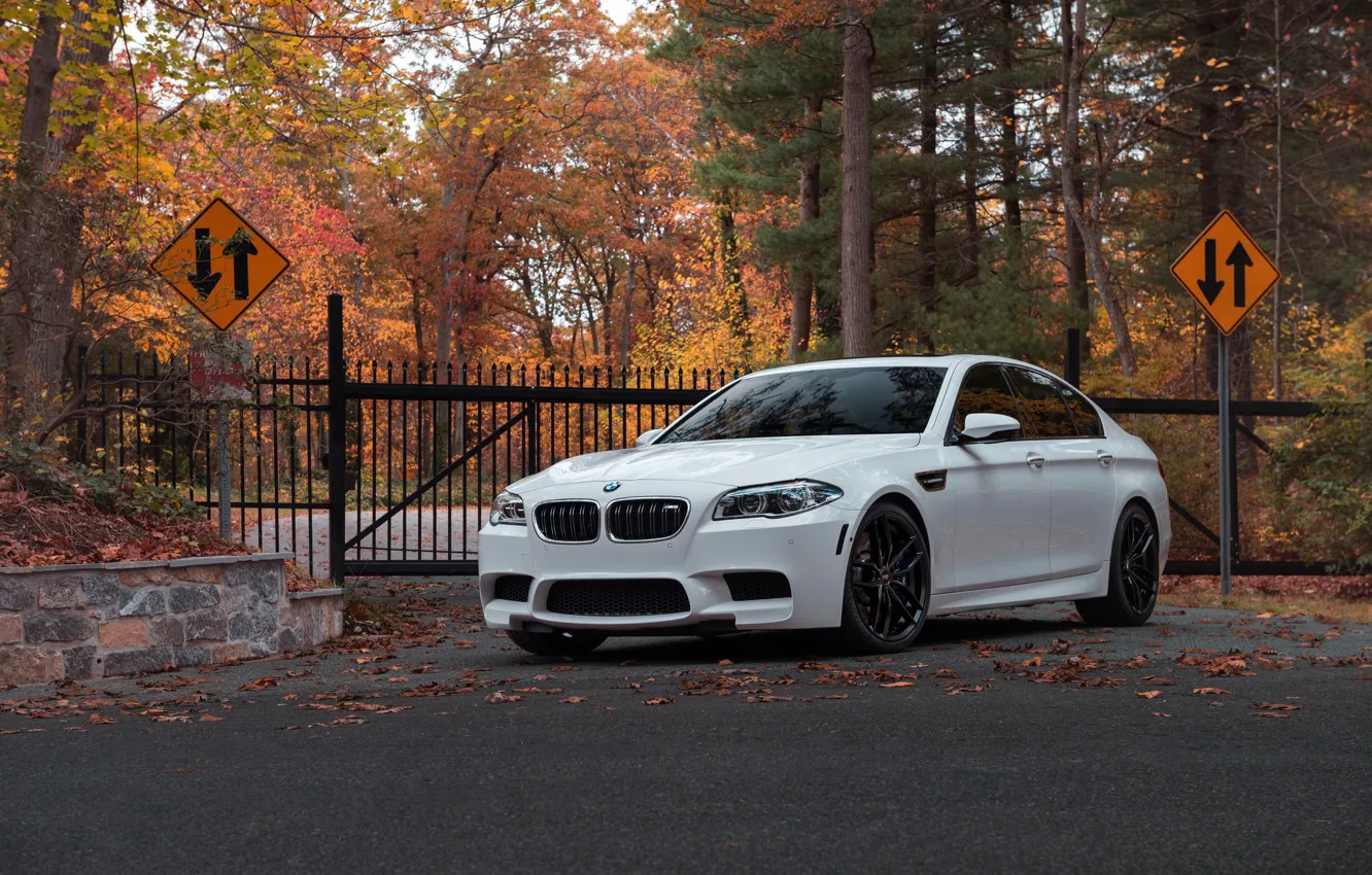 Photo wallpaper BMW, White, Autumn, F10