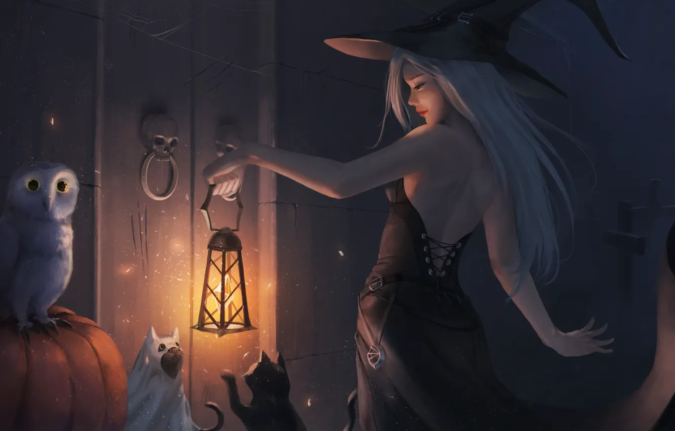 Photo wallpaper girl, cats, owl, hat, dress, the door, art, lantern